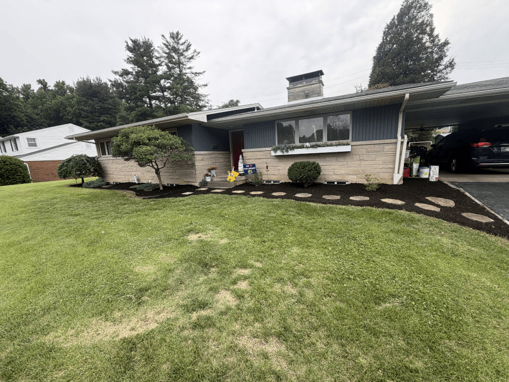 Landscape Cleanup lawn care and landscaping project example
